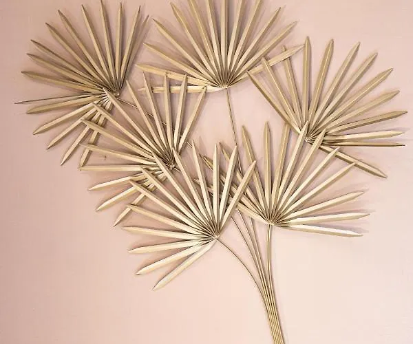 My Place 3* 리미니